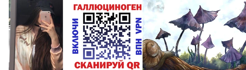 Псилоцибиновые грибы прущие грибы  Сенгилей 